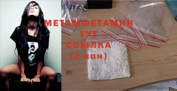 индика Богородск
