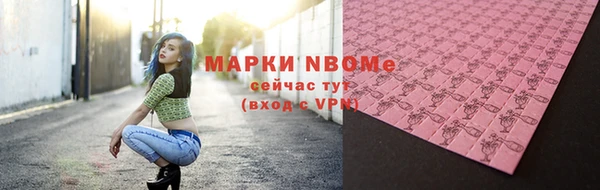 индика Богородск