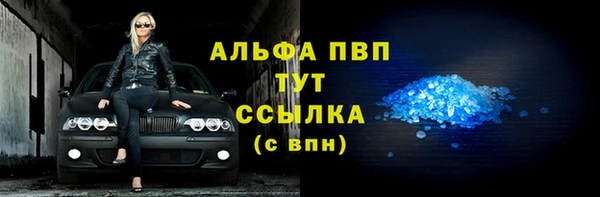 индика Богородск