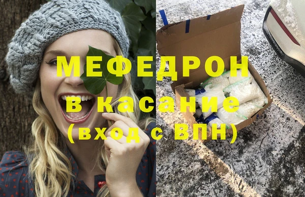 индика Богородск