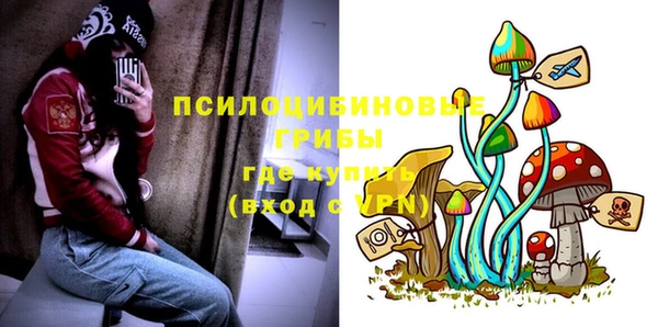 индика Богородск
