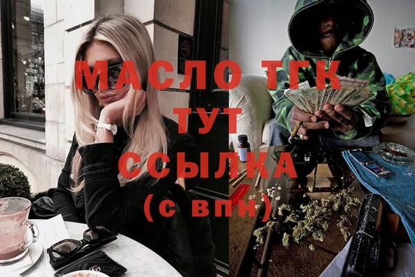 индика Богородск