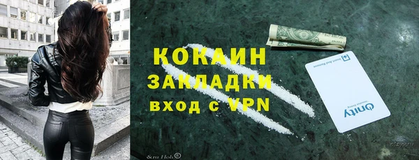 твердый Богданович
