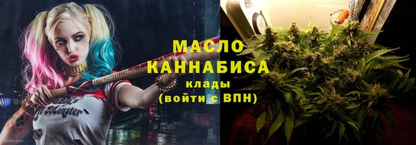 индика Богородск