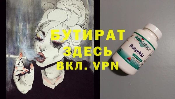 индика Богородск