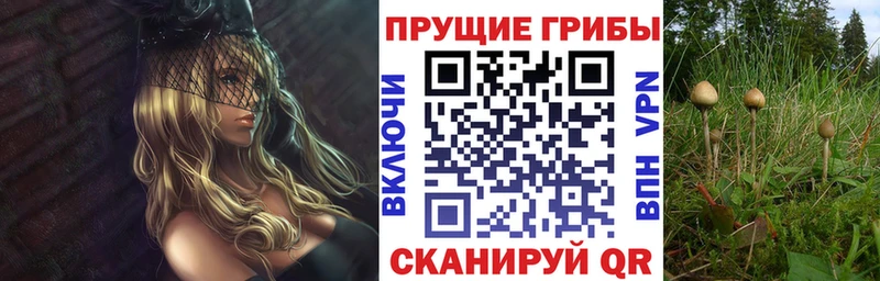 Псилоцибиновые грибы мухоморы  Купить где  Кораблино 